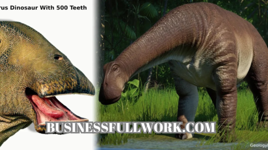 What Dinosaur Has 500 Teeth