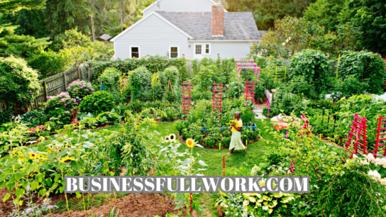 Permaculture Garden